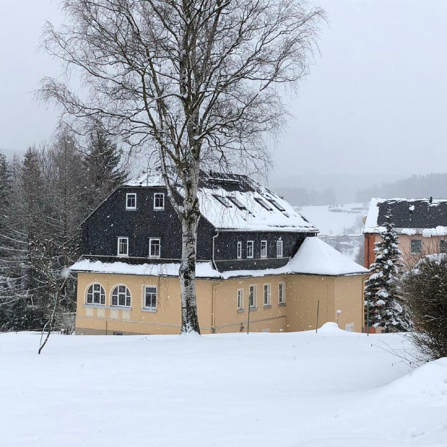 Villa Hainberg - attraktive FeWo im Erzgebirge für Hundefreunde Rauschenbach Exterior foto