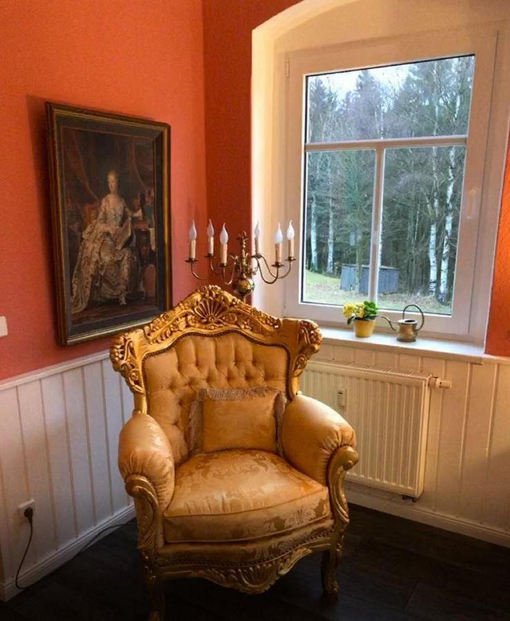 Villa Hainberg - attraktive FeWo im Erzgebirge für Hundefreunde Rauschenbach Exterior foto