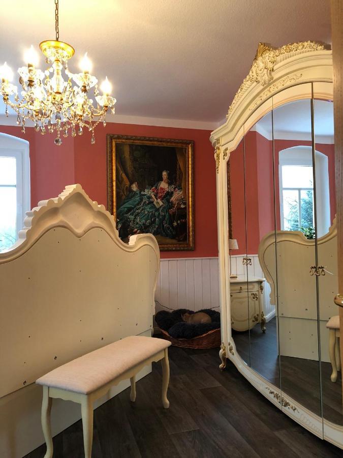 Villa Hainberg - attraktive FeWo im Erzgebirge für Hundefreunde Rauschenbach Exterior foto